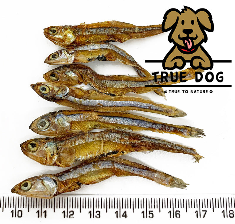 Dehydrated anchovies for dogs best sale